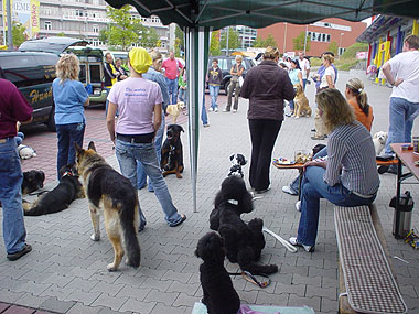 Mobile Hundeschule