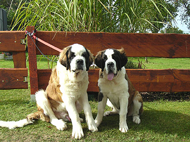 Brasko und Betty-Lou