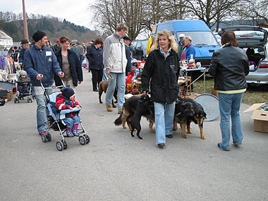Mobile Hundeschule