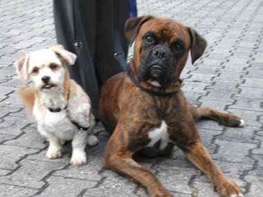 Ramses & Leila